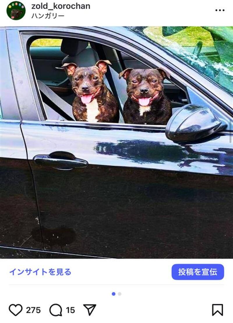 BMW 3シリーズ セダン