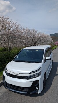 トヨタ ヴォクシー ZS“G’s”_7人乗り(CVT_2.0)