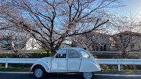 シトロエン 2CV