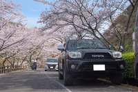 トヨタ ハイラックスサーフ SSR-G_4WD(AT_2.7)