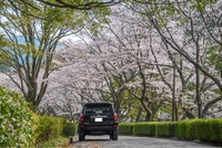 トヨタ ハイラックスサーフ SSR-G_4WD(AT_2.7)
