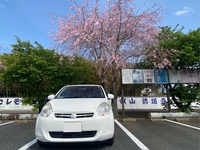 トヨタ パッソ 1.0X“クツロギ”(CVT_1.0)