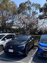ルノー アルカナ エスプリ アルピーヌ Eテック フルハイブリッド_RHD(AT_1.6)