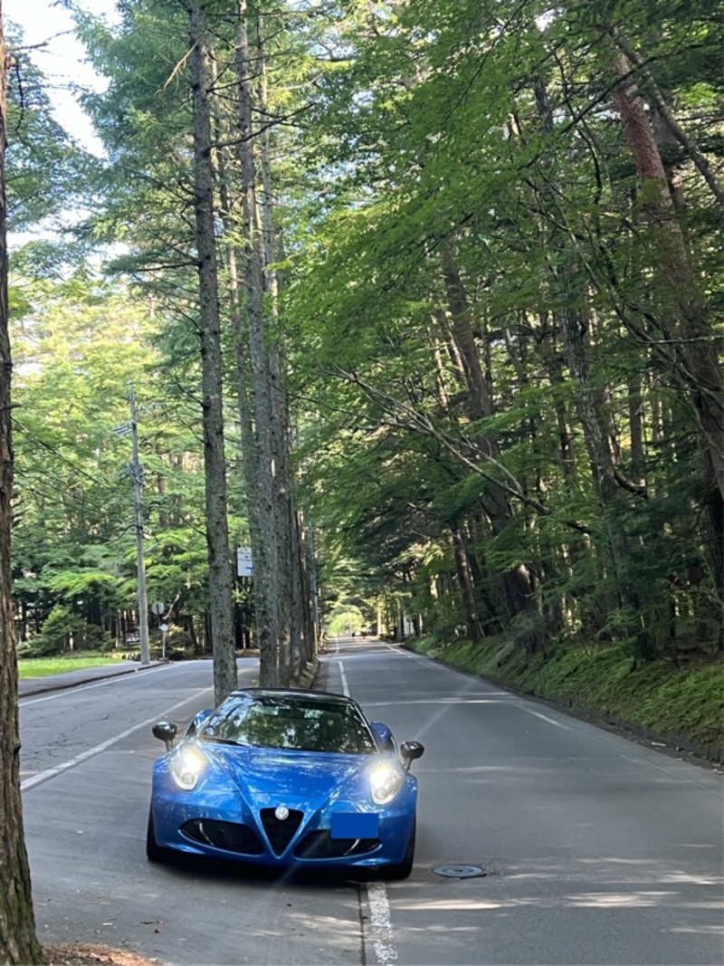 アルファロメオ 4C スパイダー 4C スパイダー イタリア_LHD(Alfa TCT_1.8)