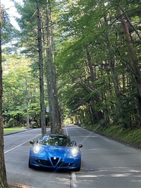 アルファロメオ 4C スパイダー 4C スパイダー イタリア_LHD(Alfa TCT_1.8)