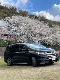 ホンダ オデッセイ
