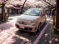 アバルト 500 （ハッチバック）