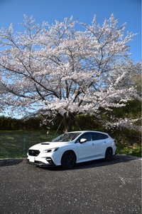 スバル レヴォーグ STI スポーツ R EX_AWD(CVT_2.4)