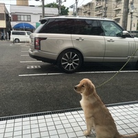ランドローバー レンジローバー 3.0 V6 ヴォーグ プレミアムエディション_RHD_5人乗り_4WD(AT_3.0)