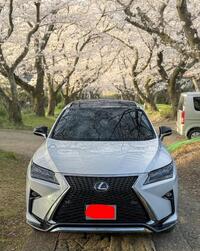 レクサス RX 300“ブラックツアラー”_AWD(ECT_2.0)