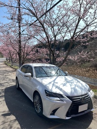 レクサス GS 250“バージョンL”(ECT_2.5)