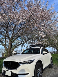 マツダ CX-5 XD エクスクルーシブモード(AT_2.2)