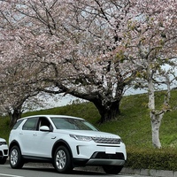 ランドローバー ディスカバリースポーツ ディスカバリースポーツ S P200_RHD_4WD(AT_2.0)