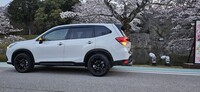 スバル フォレスター STIスポーツ ブラックインテリアセレクション（パワーリヤゲート装着車）_AWD（CVT_1.8）