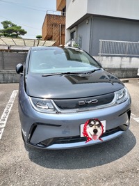 BYD ドルフィン ドルフィン ロングレンジ_RHD