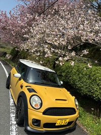 ミニ MINI Cooper S(MT_1.6)