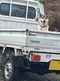 マツダ スクラムトラック