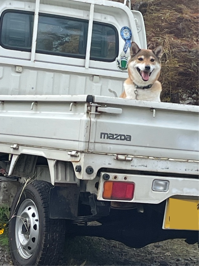 マツダ スクラムトラック