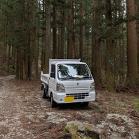 スズキ キャリイトラック