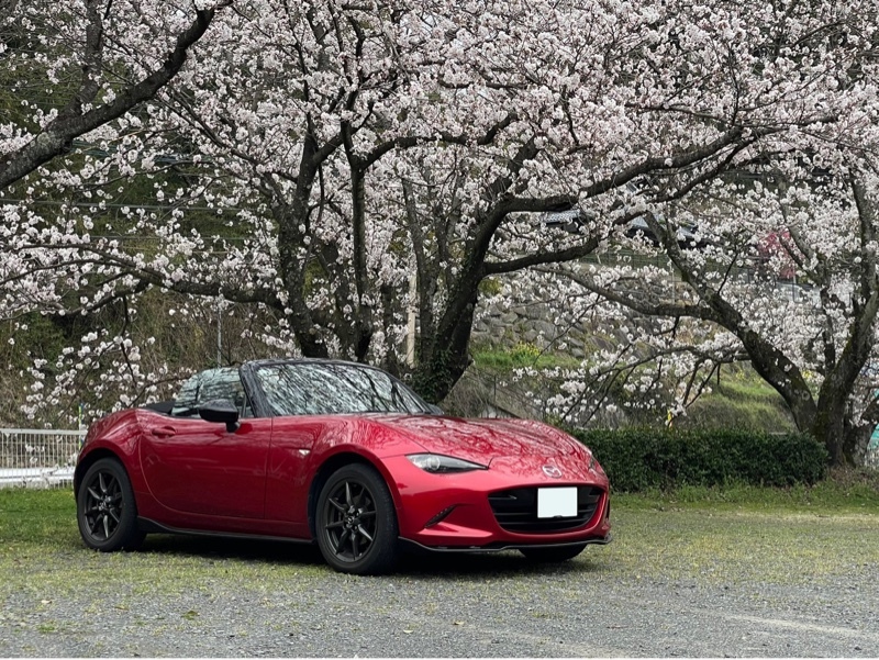 マツダ ロードスター S レザーパッケージ(AT_1.5)