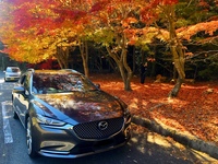 マツダ MAZDA6 ワゴン 25S Lパッケージ(AT_2.5)