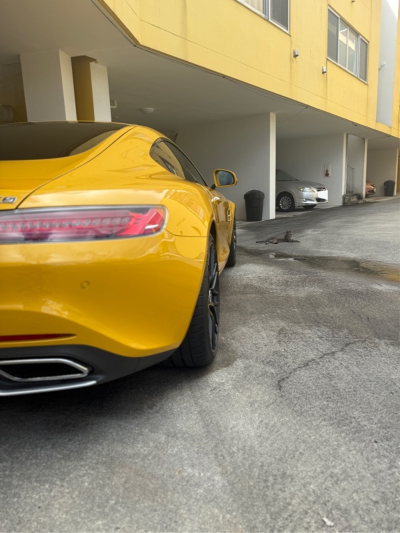 メルセデスAMG AMG GT メルセデスAMG GT S_LHD(AT_4.0)