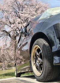ホンダ フリードハイブリッド