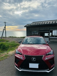 レクサス NX 300“Fスポーツ”_AWD(ECT_2.0)