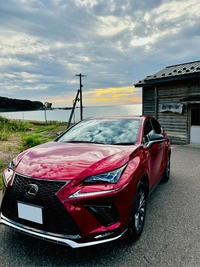レクサス NX 300“Fスポーツ”_AWD(ECT_2.0)