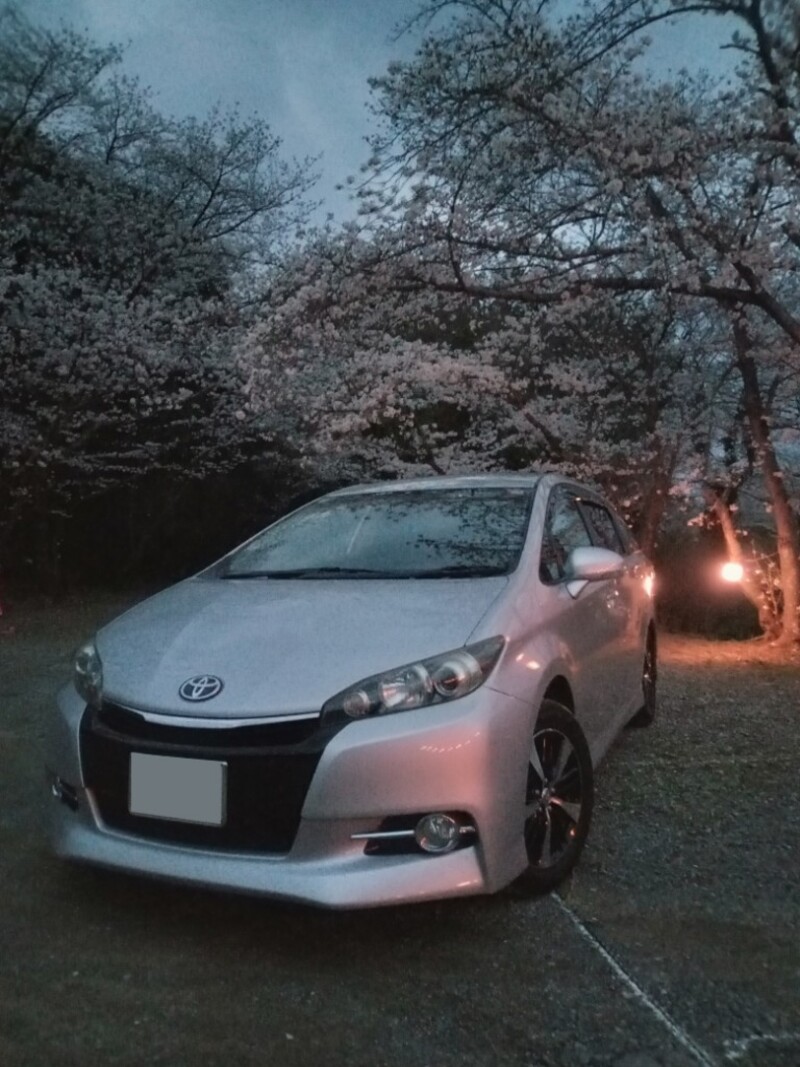 トヨタ ウィッシュ 1.8S_7人乗り(CVT_1.8)