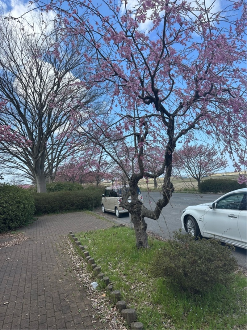 スバル サンバー トランスポーター スマートアシスト_4WD(MT_0.66)