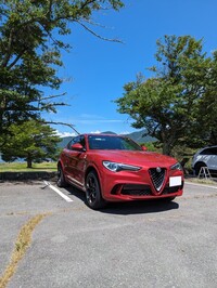 アルファロメオ ステルヴィオ 2.9 V6 ビターボ クアドリフォリオ_RHD_4WD(AT_2.9)