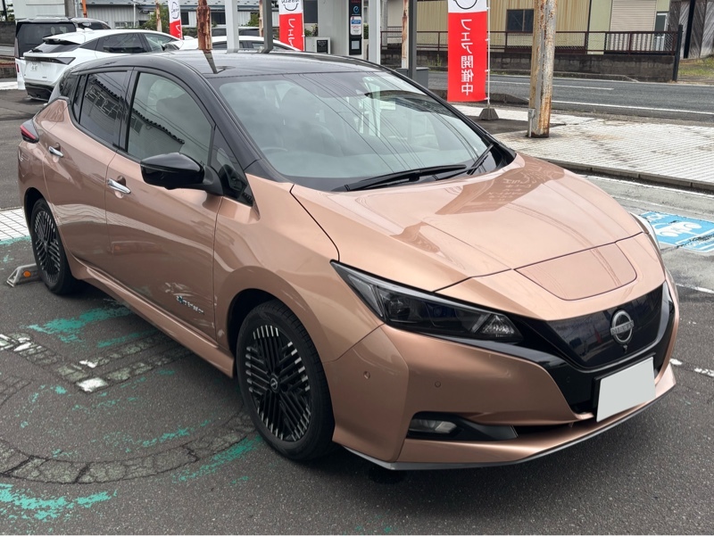 日産 リーフ e＋ G