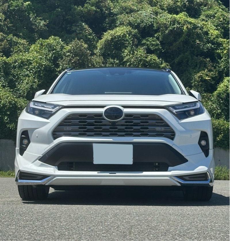 トヨタ RAV4ハイブリッド G_E-Four(CVT_2.5_ハイブリッド)