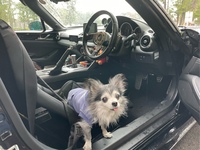 マツダ ロードスター S レザーパッケージ(MT_1.5)