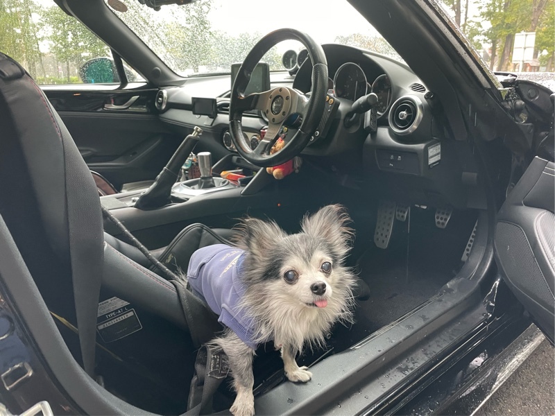 マツダ ロードスター S レザーパッケージ(MT_1.5)