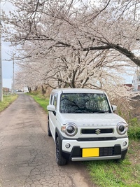 スズキ ハスラー