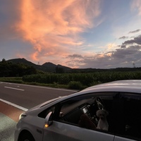 トヨタ プリウスPHV