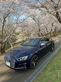 アウディ S5 スポーツバック S5 スポーツバック_RHD_4WD(AT_3.0)