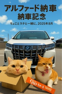 トヨタ アルファード S“Cパッケージ”_7人乗り_4WD(CVT_2.5)