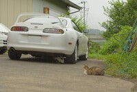 トヨタ スープラ SZ(AT_3.0)