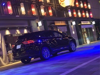 トヨタ ハリアー プレミアム(CVT_2.0) 