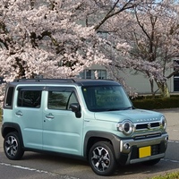 スズキ ハスラー ハイブリッド Jスタイル_4WD(CVT_0.66)