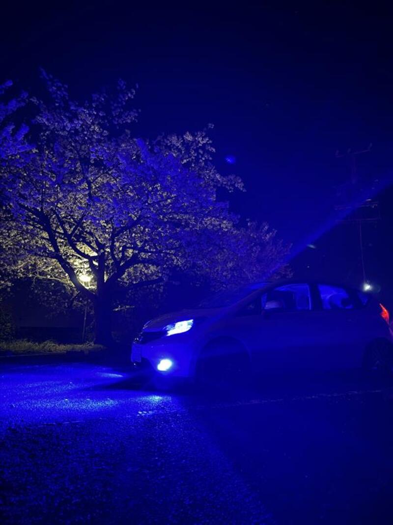 日産 ノート S DIG-S(CVT_1.2)