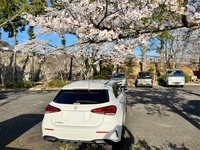 メルセデス・ベンツ Aクラス A200d_RHD(DCT_2.0)