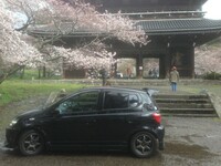 トヨタ ヴィッツ RS(5ドア_MT_1.5)