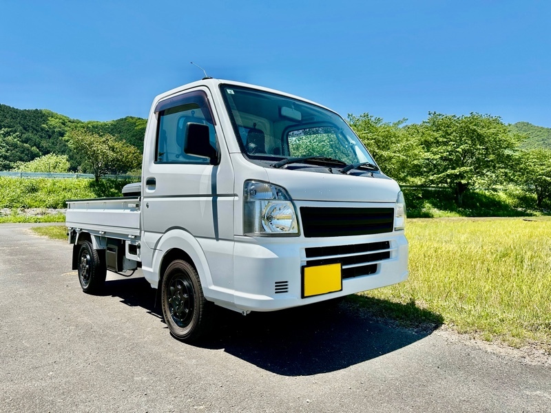 三菱 ミニキャブトラック M_4WD(MT_0.66)