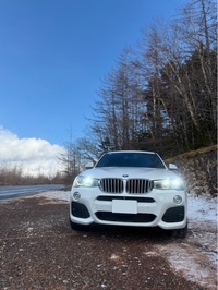 BMW X3 xドライブ28i Mスポーツ_RHD_4WD(AT_2.0)