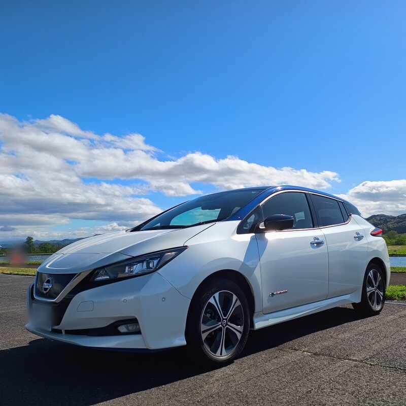 日産 リーフ e＋ G