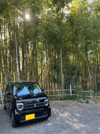 ホンダ N-WGN L(CVT_0.66)